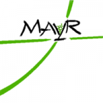 Logo - Weingut Mayr