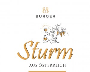 Burger Sturm